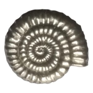 Ammonite Fossil polished pewter metal lapel pin badge